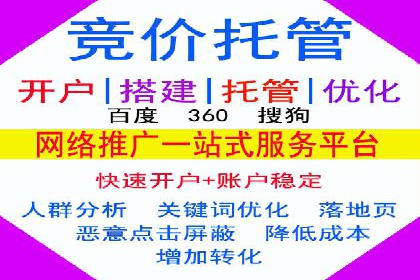 搜索引擎营销（SEM）的创意与执行——以多个行业成功案例为教学